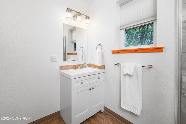 bathroom featuring hardwood / wood-style floors and vanity