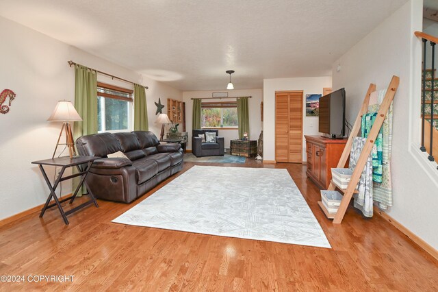 living room featuring hardwood / wood-style floors and a wealth of natural light