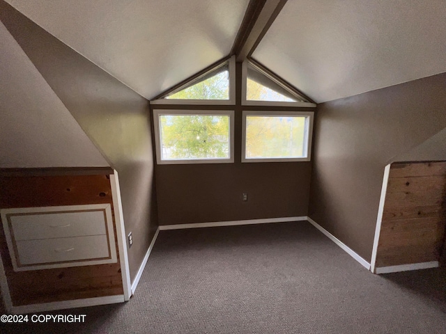 bonus room featuring lofted ceiling and carpet