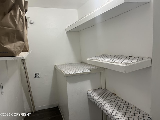 walk in closet with dark wood finished floors