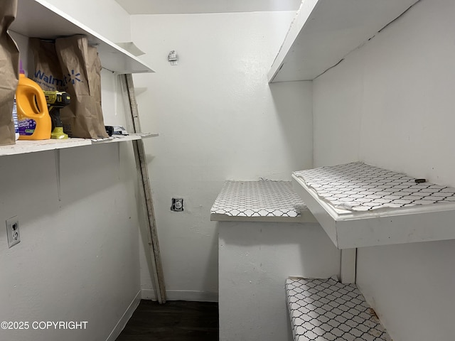 spacious closet featuring wood finished floors