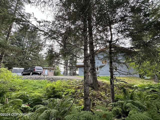 345 C St, Seldovia, AK 99663 - view of yard