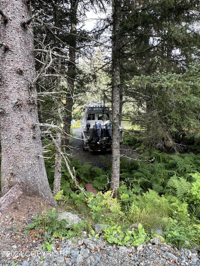 345 C St, Seldovia, AK 99663 - view of nature
