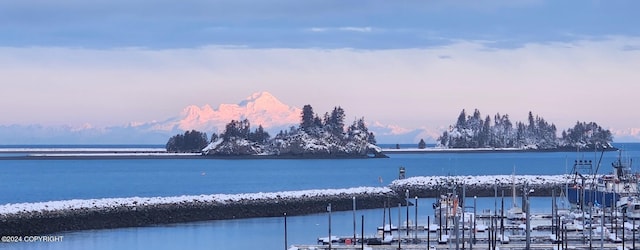 345 C St, Seldovia, AK 99663 - water view