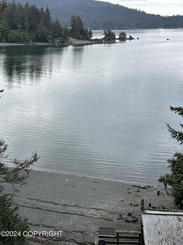 345 C St, Seldovia, AK 99663 - view of water feature with a wooded view