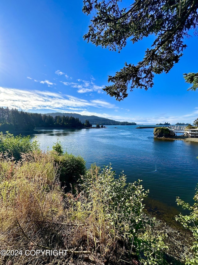 345 C St, Seldovia, AK 99663 - view of water feature