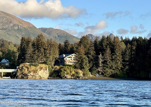 345 C St, Seldovia, AK 99663 - water view with a mountain view and a view of trees