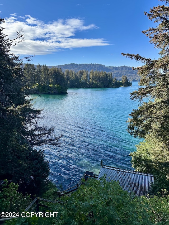 345 C St, Seldovia, AK 99663 - water view with a wooded view and fence
