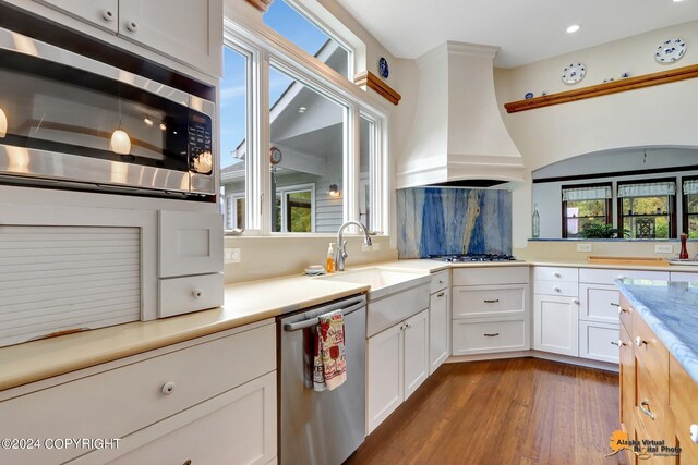 kitchen featuring stainless steel appliances, white cabinets, plenty of natural light, and custom exhaust hood