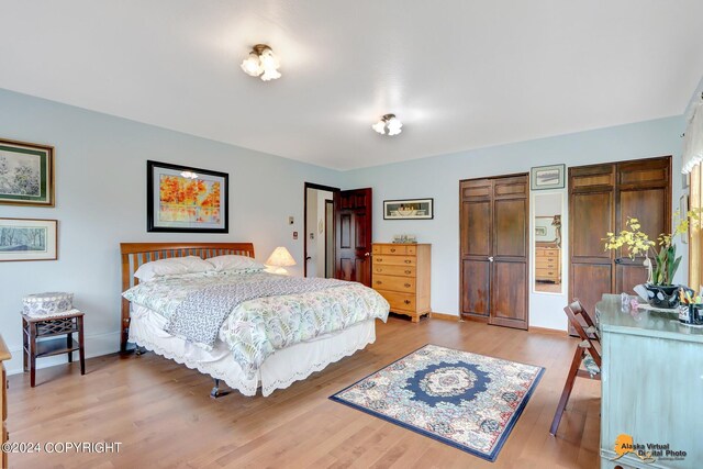 bedroom featuring light wood-type flooring