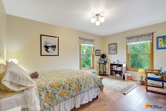 bedroom with multiple windows and wood-type flooring