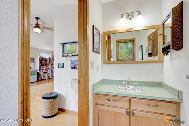 bathroom with vanity and hardwood / wood-style floors
