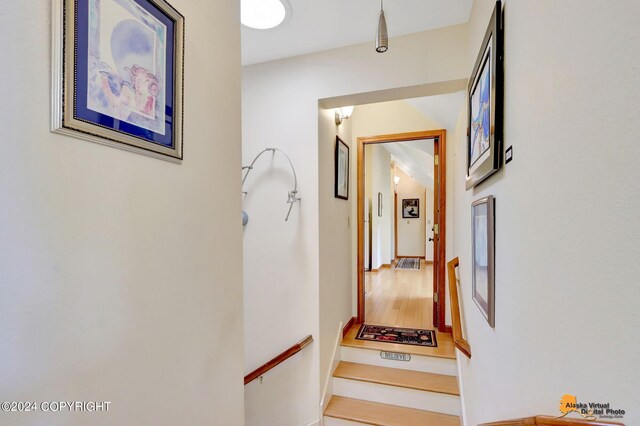 staircase with wood-type flooring