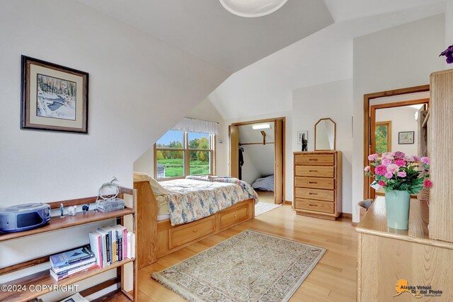 bedroom featuring light wood-type flooring, lofted ceiling, and a spacious closet