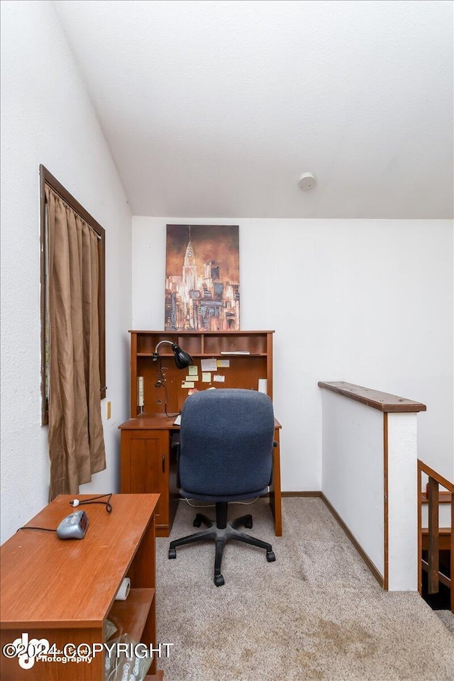 view of carpeted home office