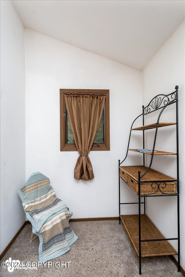 bedroom featuring carpet and vaulted ceiling