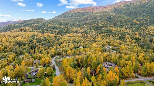 bird's eye view featuring a mountain view