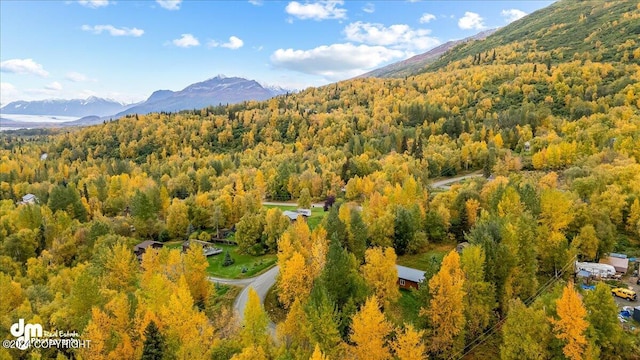 birds eye view of property with a mountain view