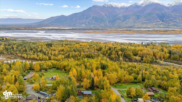 birds eye view of property featuring a mountain view