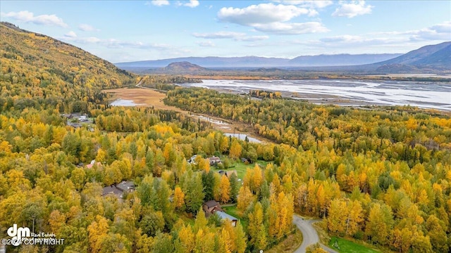 bird's eye view featuring a water and mountain view