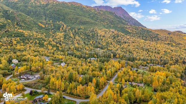 view of mountain feature