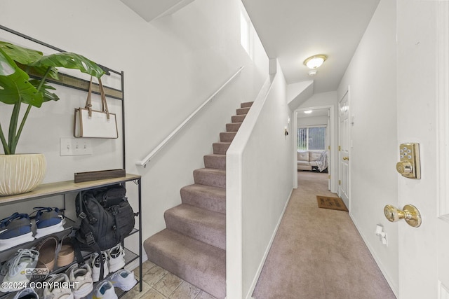 staircase with carpet flooring