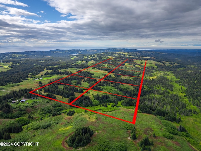 L10 Crossman Ridge Ave, Homer AK, 99603 land for sale