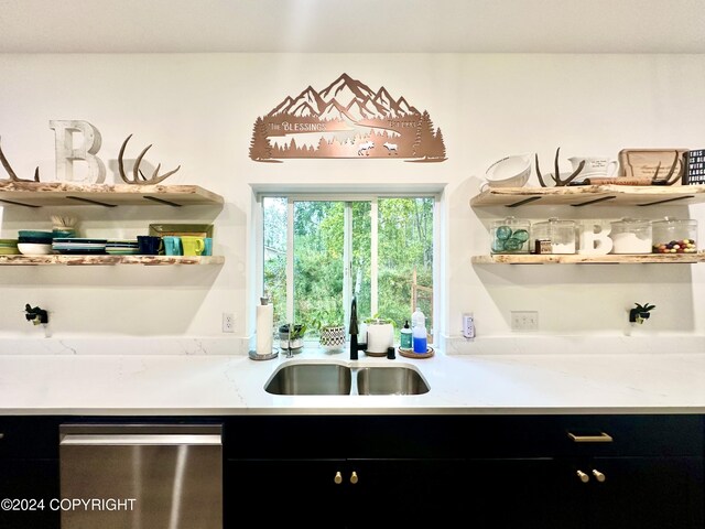 kitchen with stainless steel dishwasher and sink