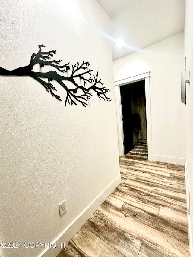 corridor with hardwood / wood-style flooring