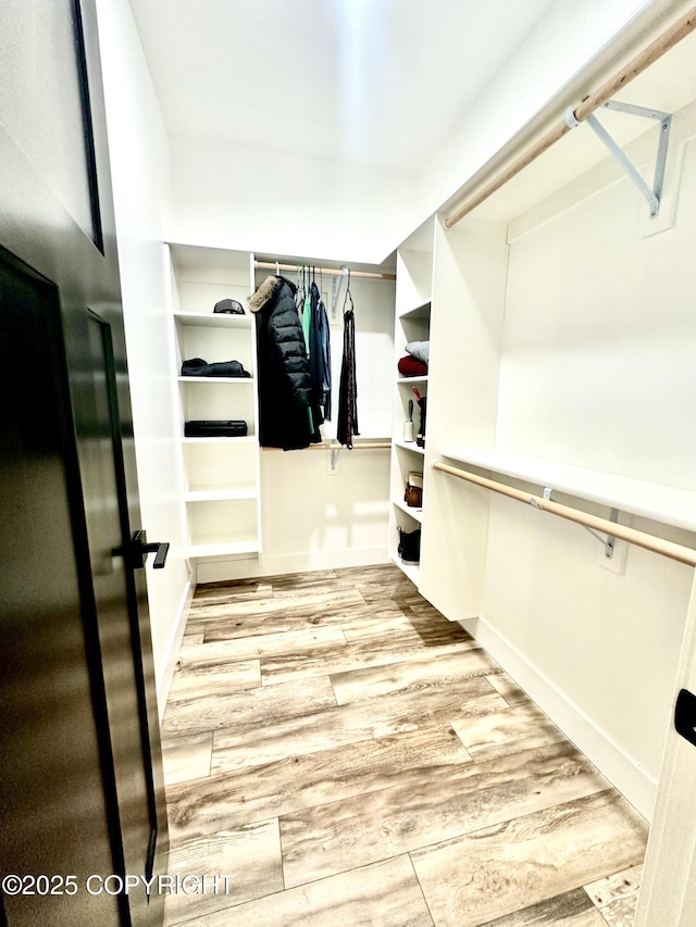 spacious closet featuring light hardwood / wood-style flooring