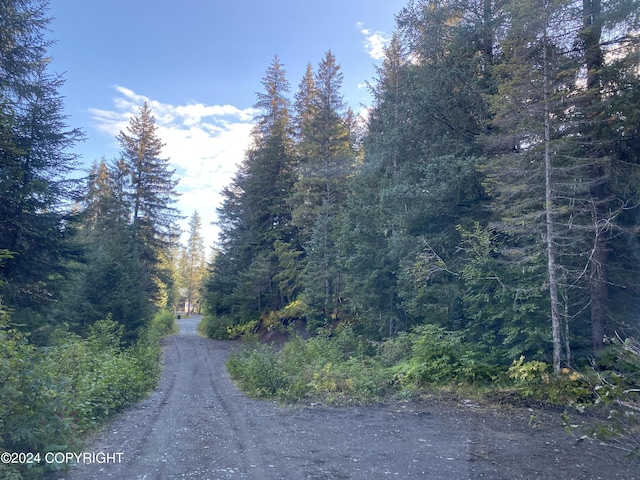 NHN Maximillian Court, Seward AK, 99664 land for sale