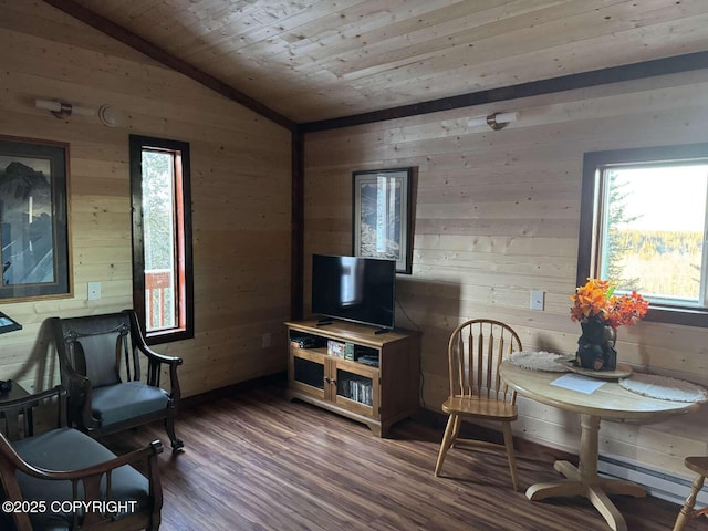 interior space featuring lofted ceiling, wooden ceiling, wooden walls, wood finished floors, and a wealth of natural light