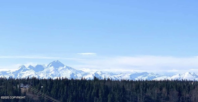 property view of mountains with a wooded view