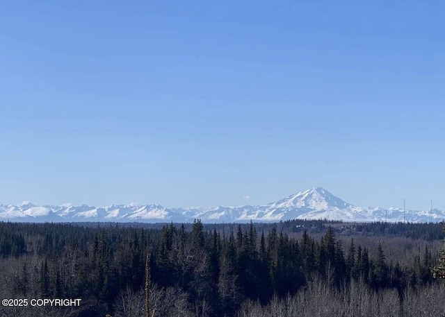 property view of mountains with a forest view