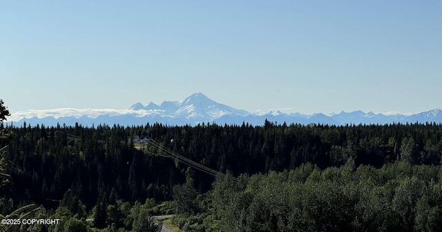 view of mountain feature with a wooded view