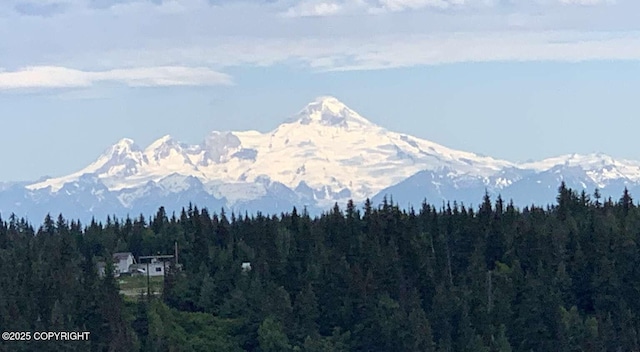 mountain view with a view of trees