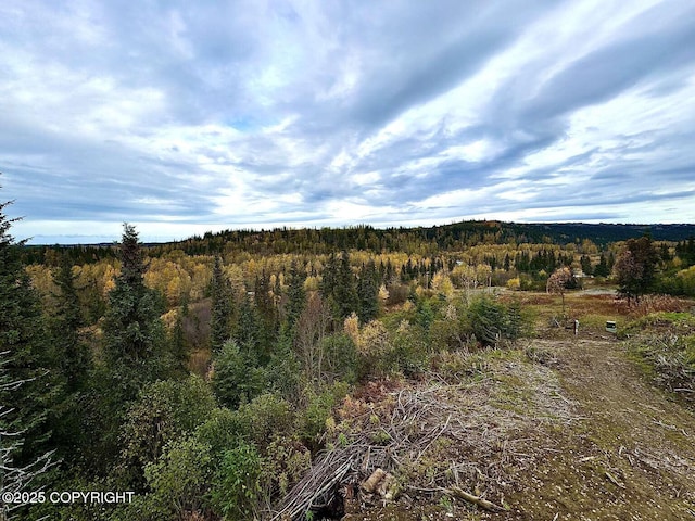 property view of mountains with a wooded view