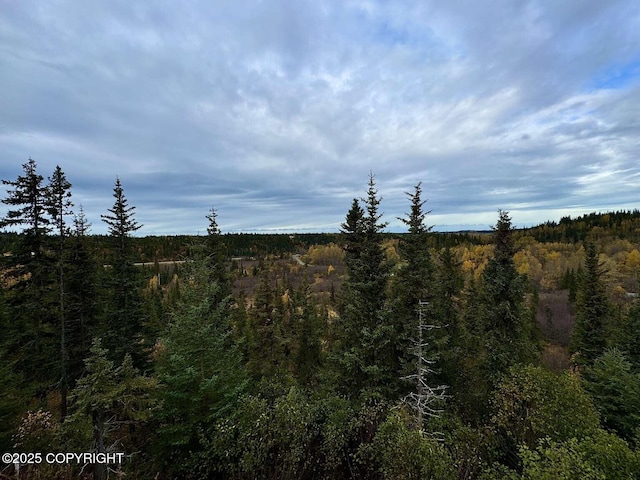 view of local wilderness with a wooded view