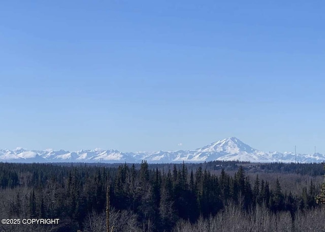 38919 Sayer Rd, Anchor Point, AK 99556 - photo 18