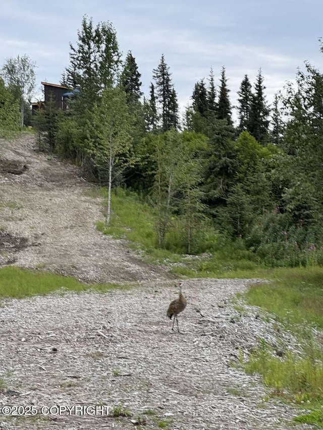 38919 Sayer Rd, Anchor Point, AK 99556 - photo 24