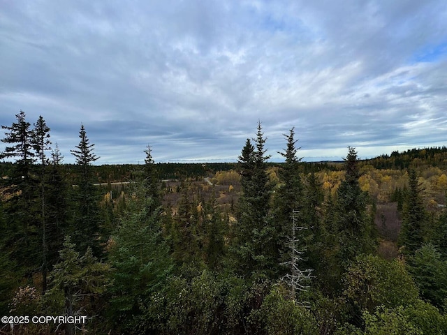 38919 Sayer Rd, Anchor Point, AK 99556 - photo 30