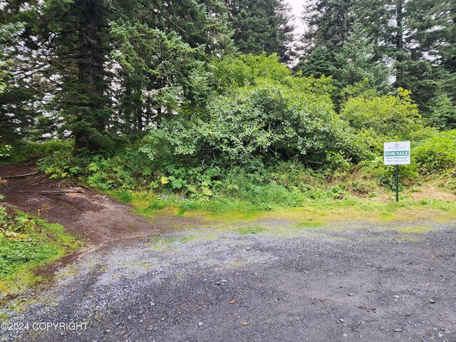 902 Pillar Mountain Rd, Kodiak AK, 99615 land for sale