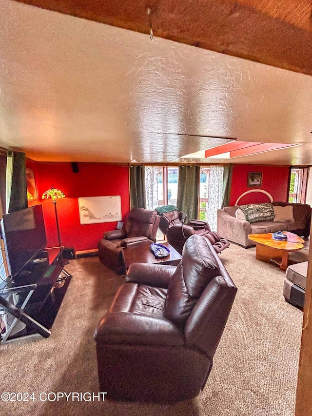 living room with a textured ceiling and carpet