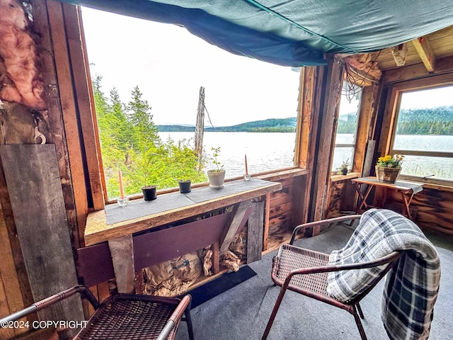 sunroom with a water view