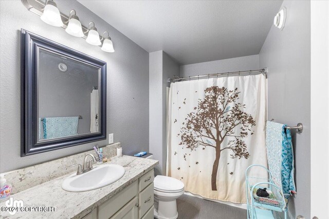 bathroom featuring a textured ceiling, vanity, toilet, and a shower with curtain