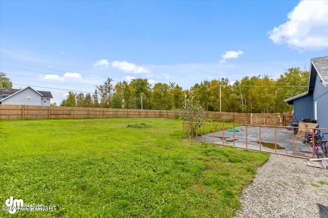 view of yard featuring a patio area