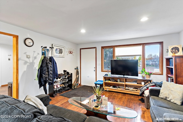 living room with wood-type flooring