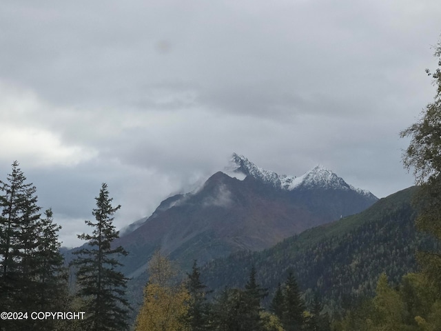 view of mountain feature