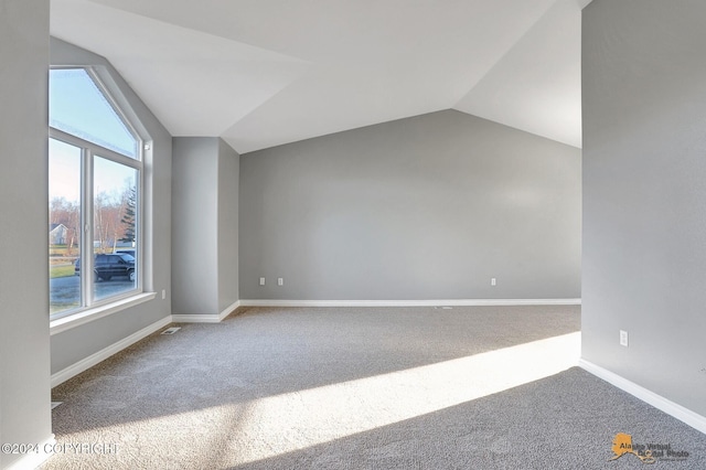 additional living space with carpet and vaulted ceiling