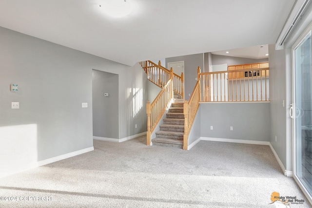 stairway featuring carpet floors